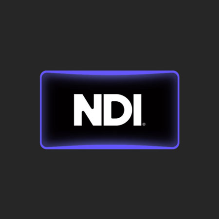 NDI logo