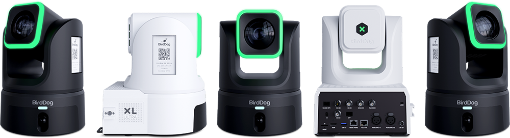 birddog ptz camera from various angles