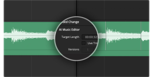 DaVinci Resolve Fairlight Audio timeline with circular zoom window