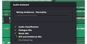 DaVinci Resolve 20 Software window for AI Audio Assistant