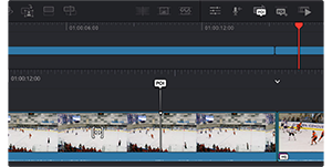 DaVinci Resolve Replay Point of Interest timeline