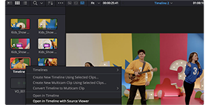 Screenshot of DaVinci Resolve 20 Source Viewer media pool