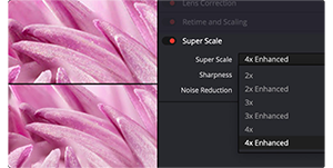 DaVinci resolve New AI SuperScale window of pink flower petals