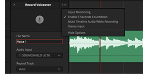Screenshot of DaVinci Resolve Voice Over Palette