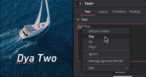 resolve 21 text+ autocorrect