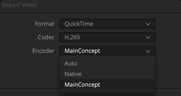 export video interface