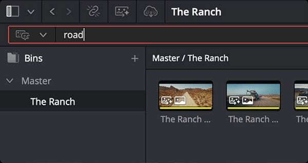 resolve 21 library search interface