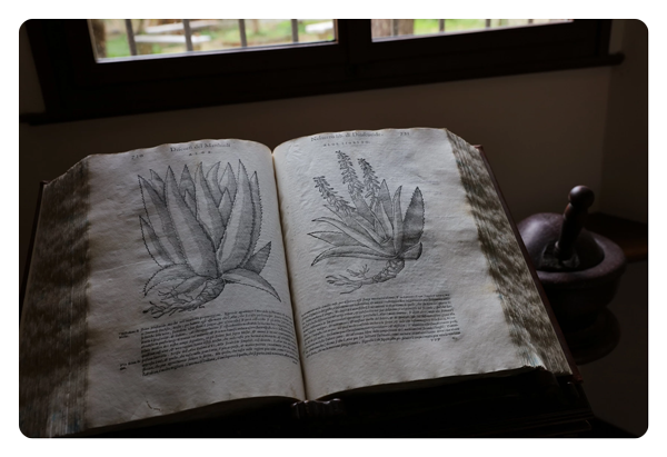 sample image of an old book on a desk taken with the canon lens