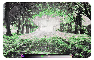 Desview - 'R5II 5.5 HDMI 800Nits Monitor'