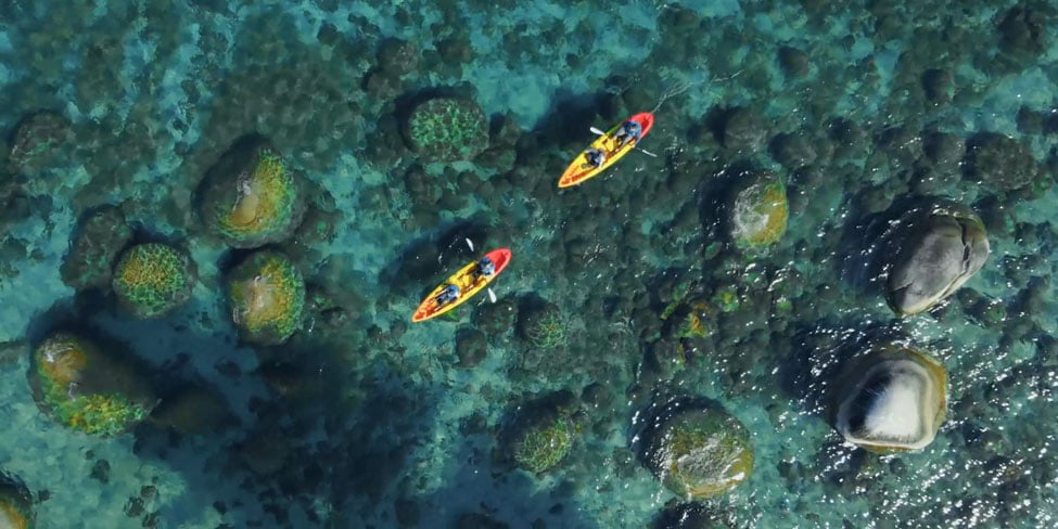 dji neo 2 drone top down view sample image