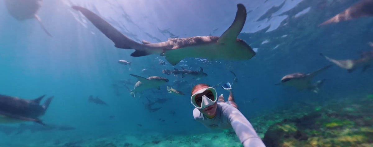 Woman taking a selfie while snorkeling with nurse sharks in clear blue ocean water