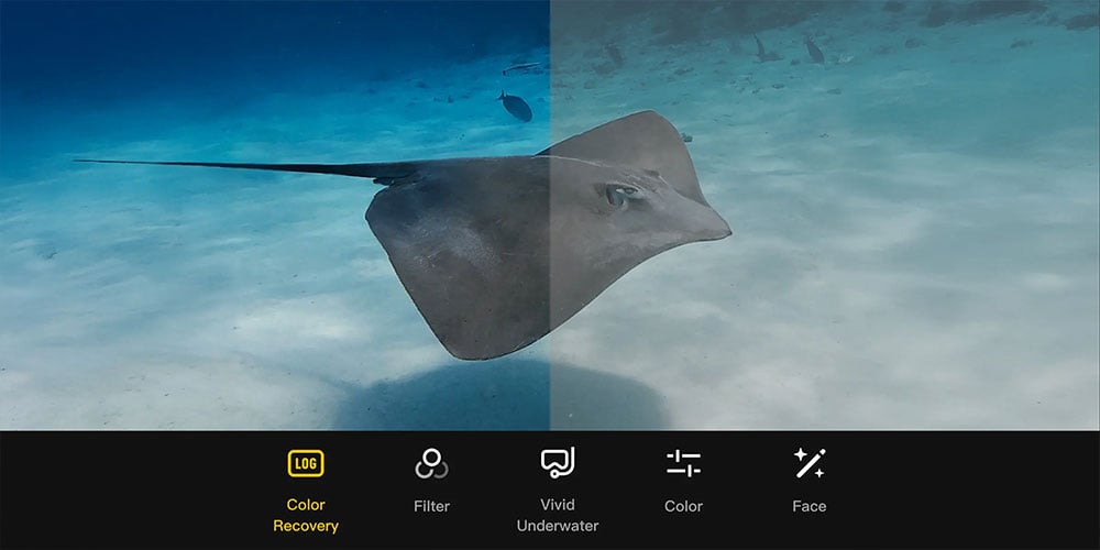 dji osmo action 6 colour recovery