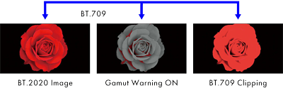 eizo monitor gamut warning example