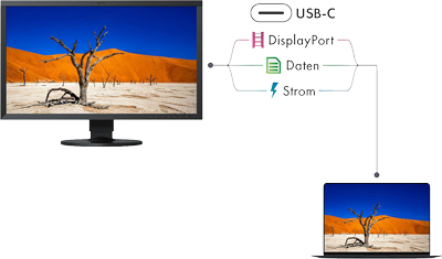 eizo monitor connections