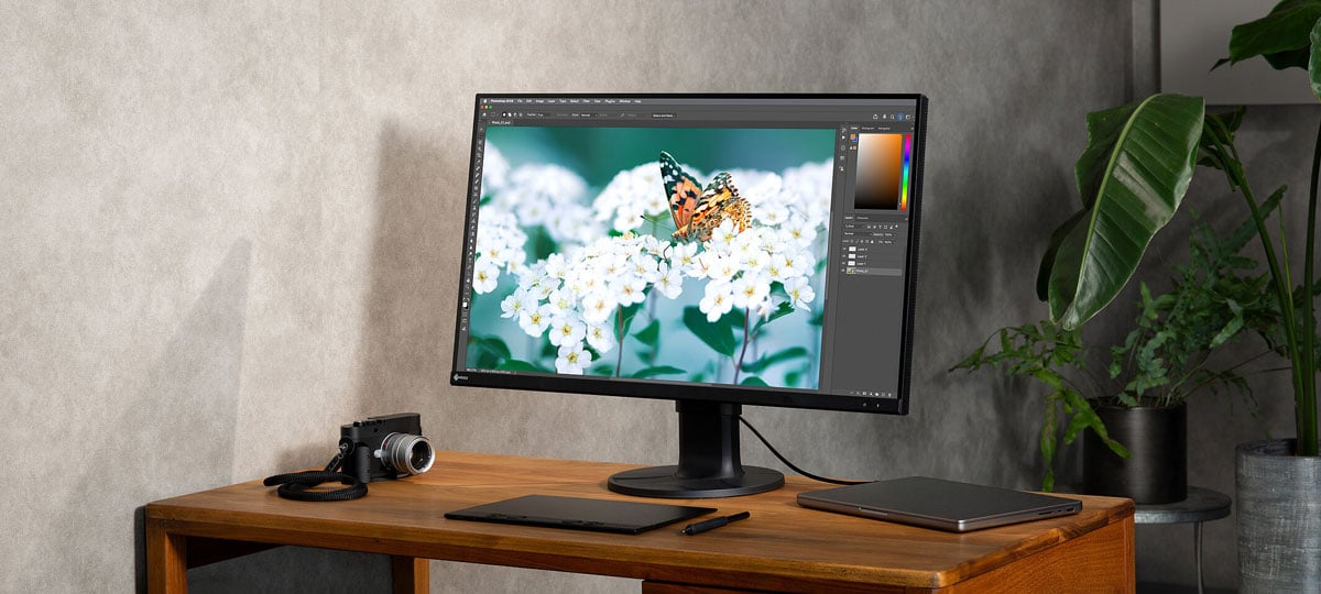 EIZO ColorEdge CS3200X 31.5-inch 4K UHD colour management monitor displaying a detailed photo of a butterfly on a wooden desk alongside a camera and graphic tablet