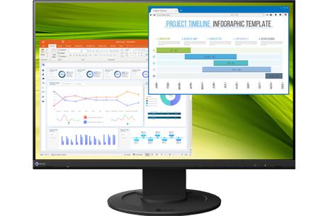 EIZO FlexScan 23