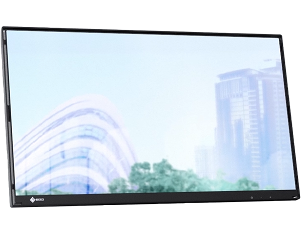 eizo monitor without the stand