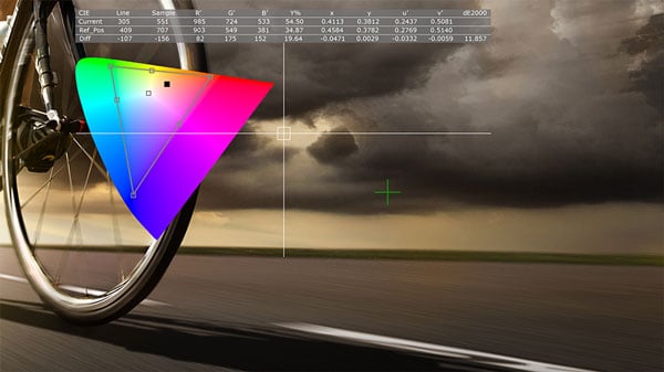 a CIE chromaticity diagram displayed on a flanders monitor