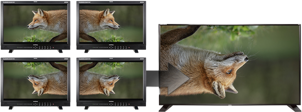 image flip modes on the flanders monitor using an image of a fox as an example
