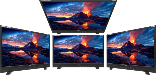 viewing angles demonstration with four views of the OLED monitor