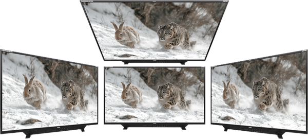 viewing angles demonstration with four views of the OLED monitor