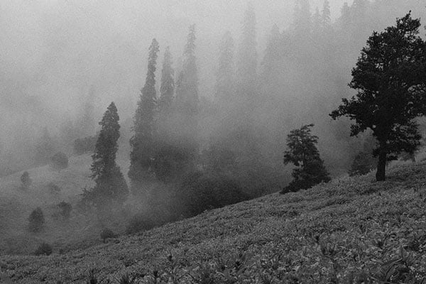 fujifilm camera grain effect