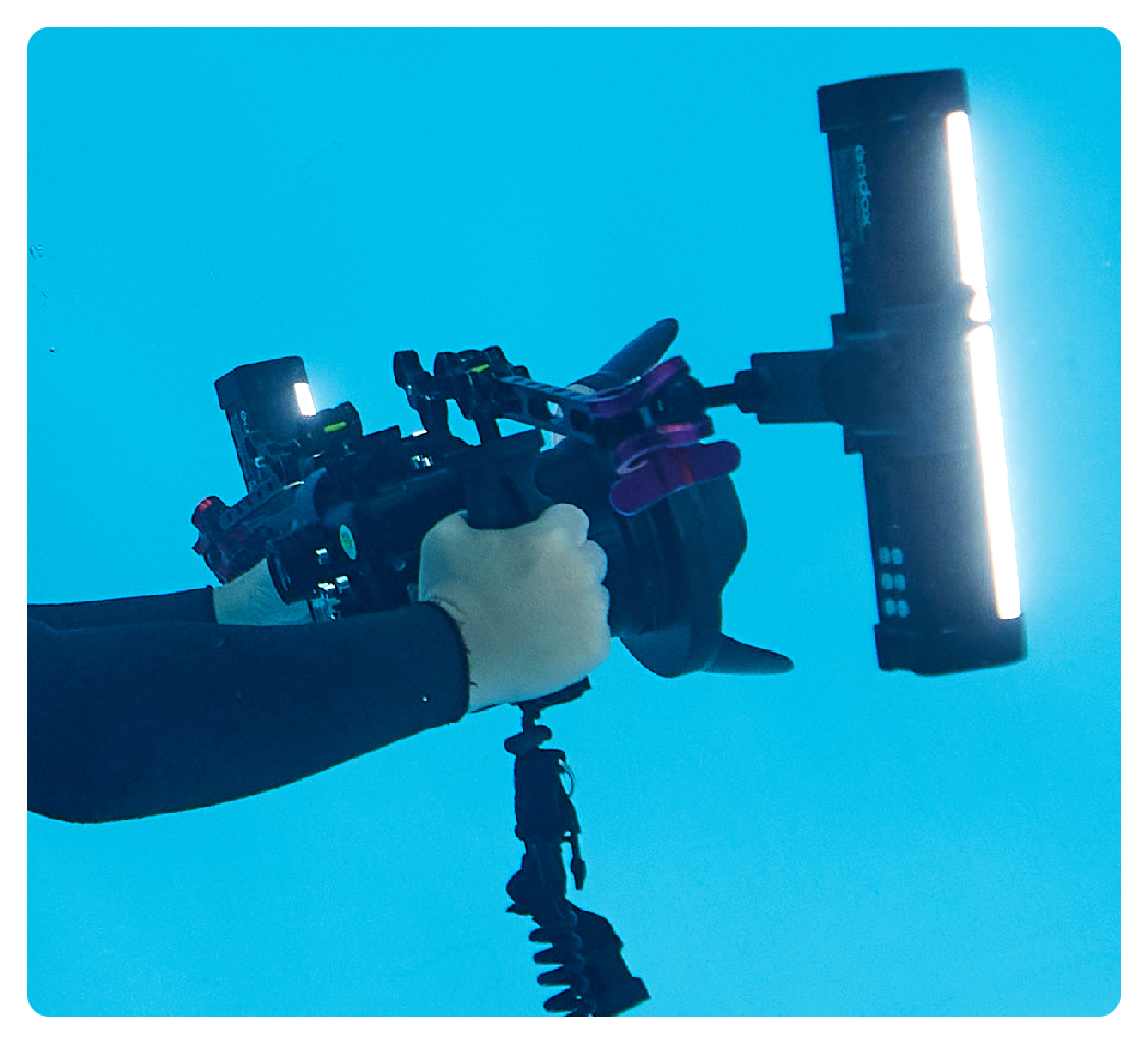 godox WT60R waterproof led lights attached to a camera underwater