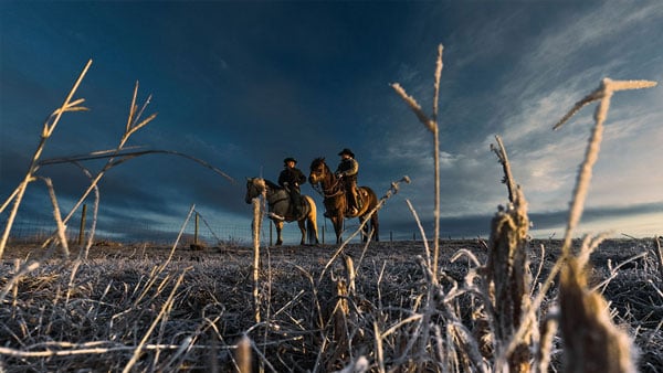 two cowboys on horses in a froze field