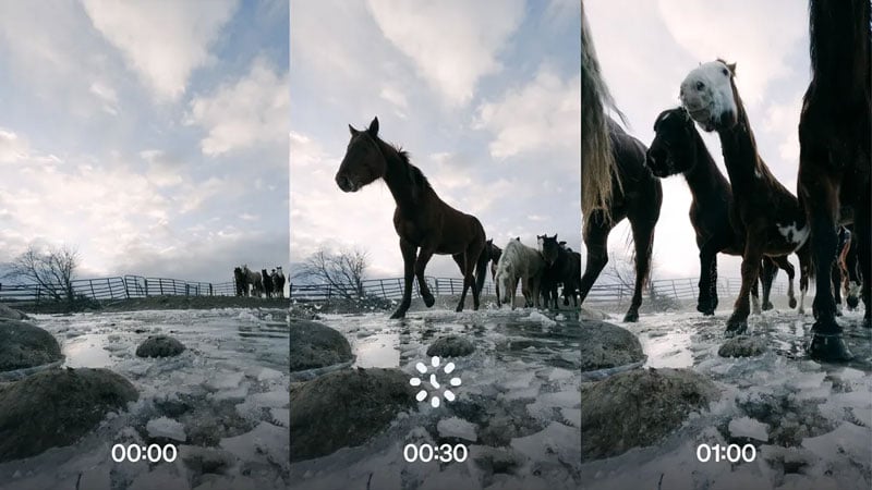 sample images taken at intervals of horses in the snow