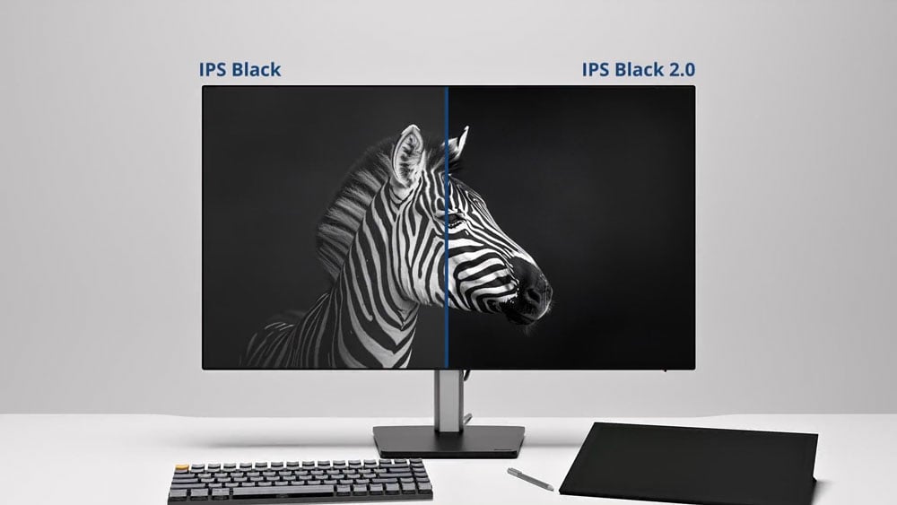 iiyama monitor on a desk showing aa image of a zedbra comparing IPS black and IPS blaack 2 with a graphics tablet