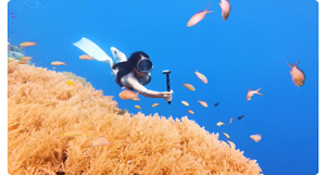Insta360 Go 3 Action Camera