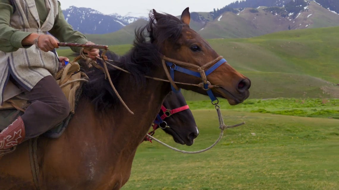 sample still image from a slo-motion video of two people riding horses through a mountain range