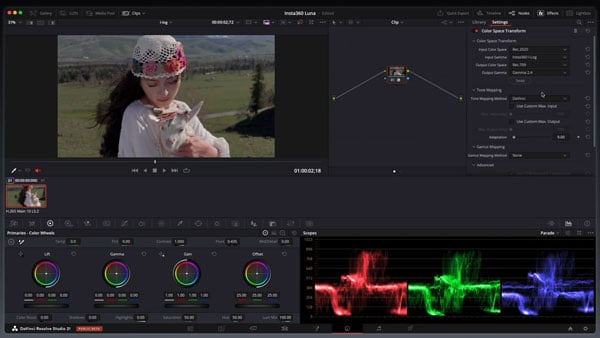 davinci resolve interface