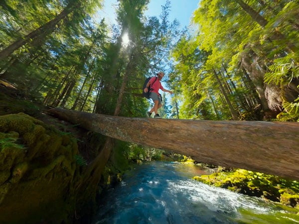 a hiker balancing on a large fallen log bridge across a rushing blue stream within a lush evergreen forest