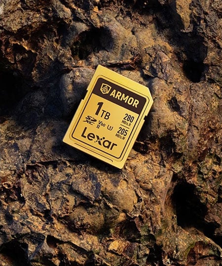 lexar armor gold sd card on a rock