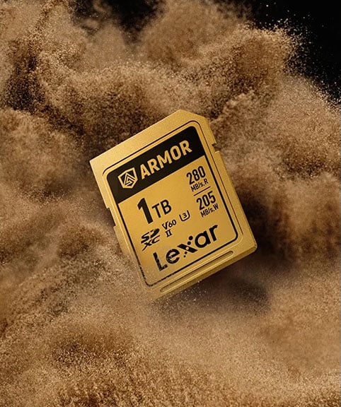 lexar armor gold sd card in a dust storm