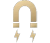 gold magnet icon