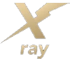 gold x-ray icon