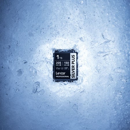 sdxc card in snow