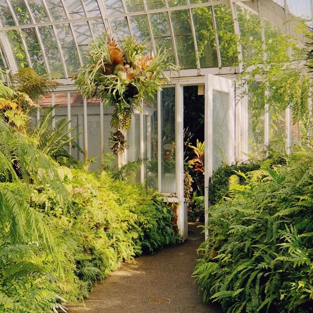 sample image from inside a green house with the door open