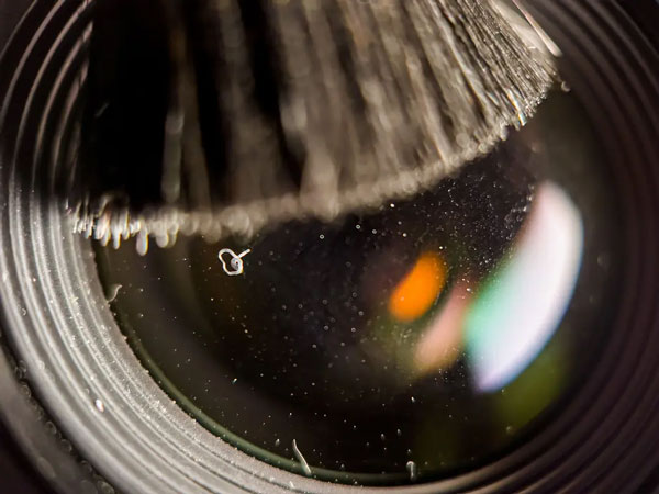 close up of the mobile lens cleaning pen brush