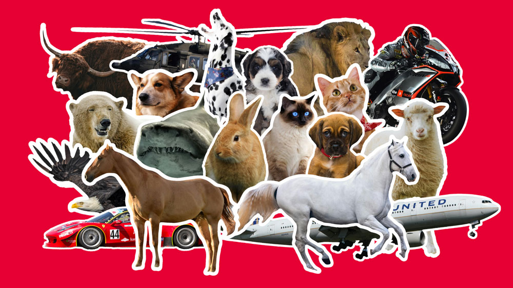eample different trackable objects and animals highlighted in white on a red background