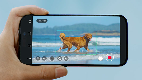 someone holding a smartphone showing the obsbot ptz camera tracking a dog running along a beach