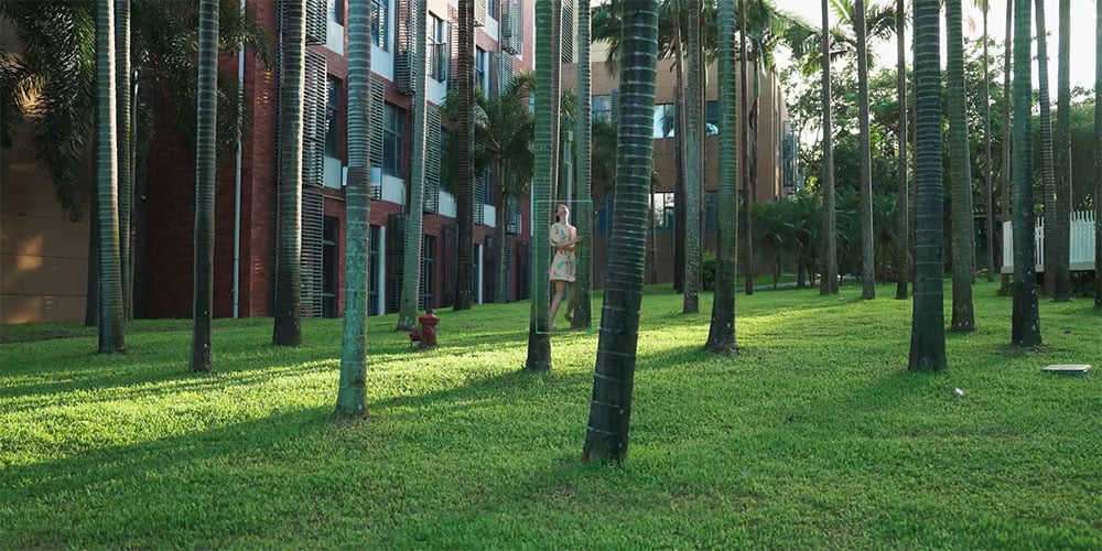 long distancee tracking example of a woman walking between trees near apartments
