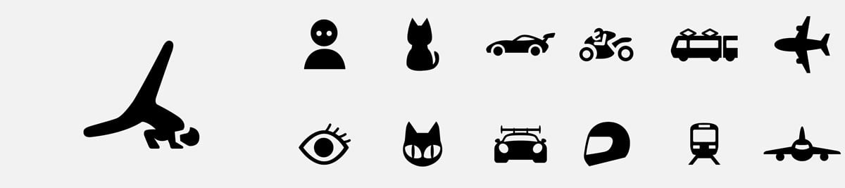 icons reprosenting different things the lumix l10 can auto focus on