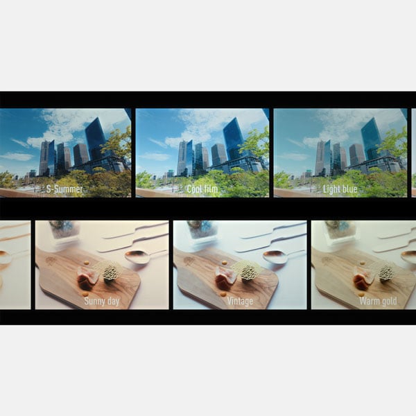 lumix app interface showing different lut
