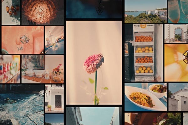 a collage of photos using different lut