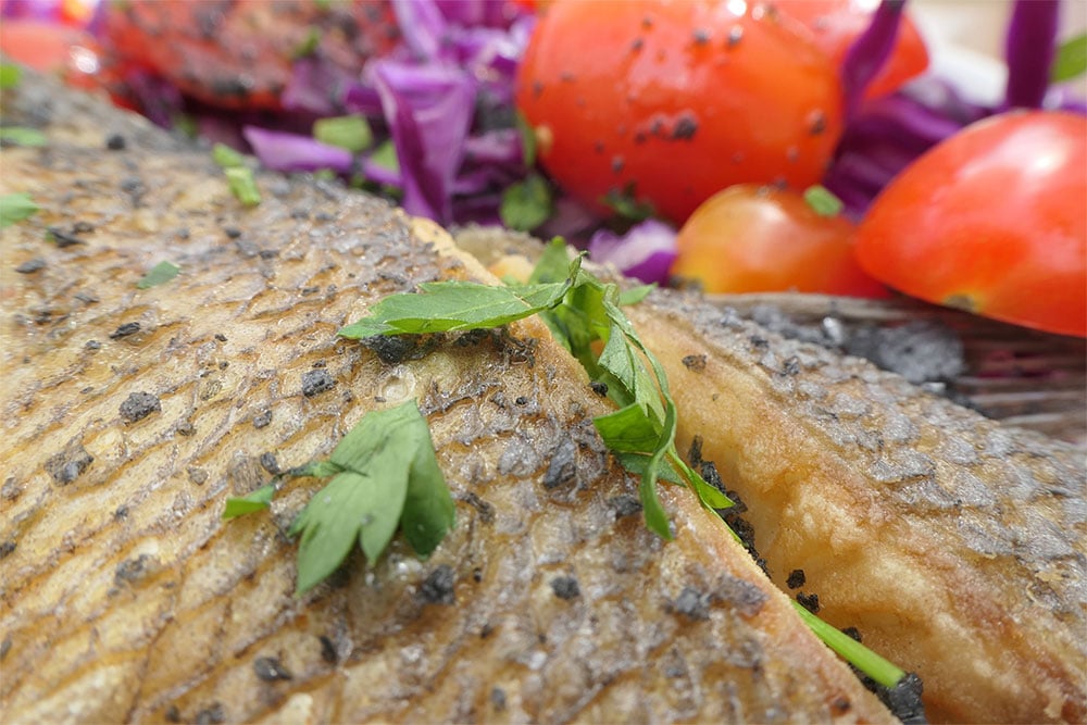 sample image of cooked fish close up