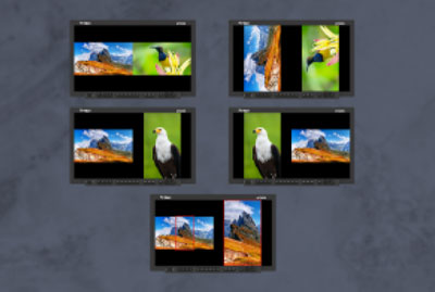 portkeys cinema monitor split screen monitoring