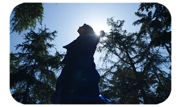 Samyang - 'XEEN CF 135MM T2.2 FE' sony mount